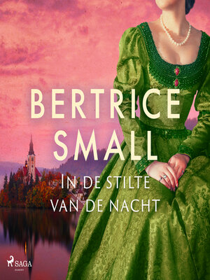 cover image of In de stilte van de nacht